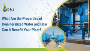 Read more about the article What Are the Properties of Demineralized Water and How Can It Benefit Your Plant?